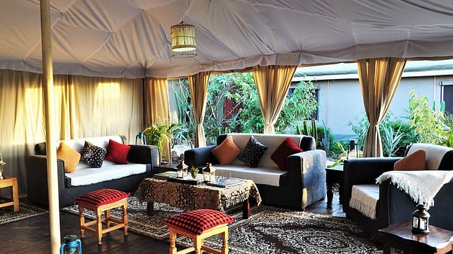 zebra-plains-mara-camp with mara triangle safaris