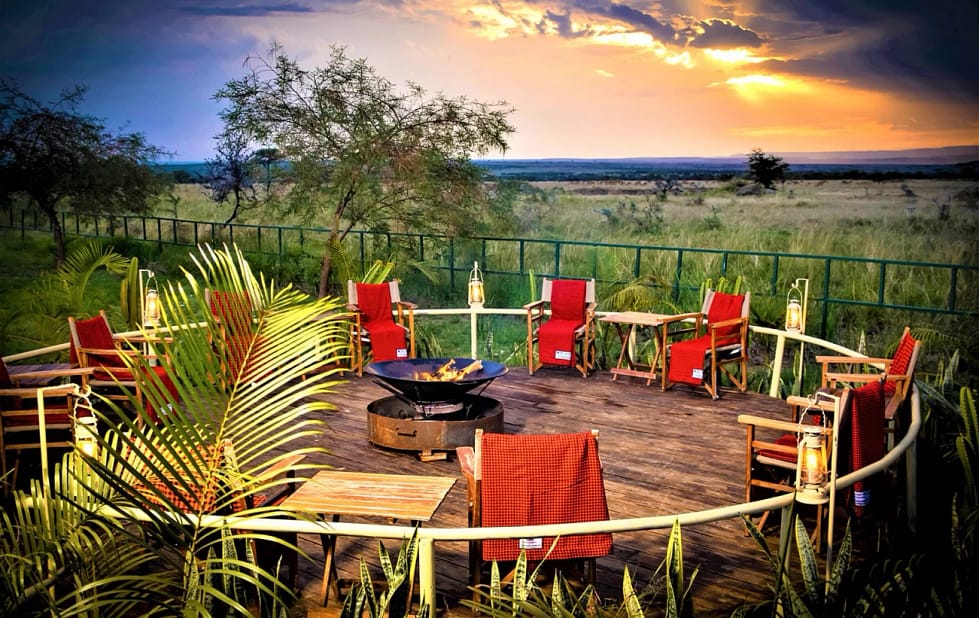 zebra plains with mara triangle safaris 2