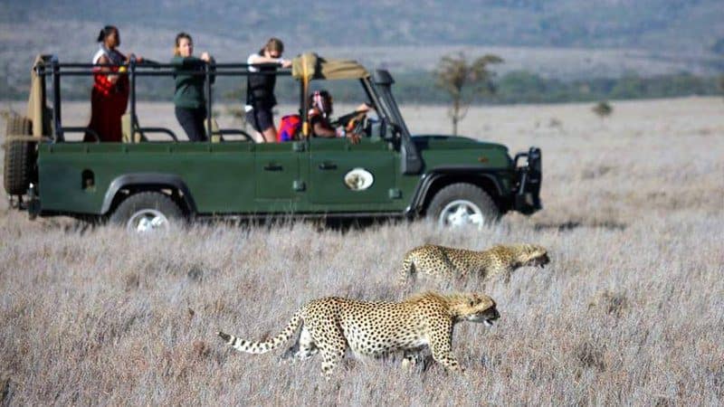 5-Day Serengeti Safari Itinerary (2026) Best Route, Costs & Travel Plan-Mara Triangle Safaris