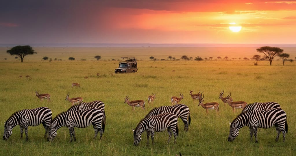 Kenya Safari in March