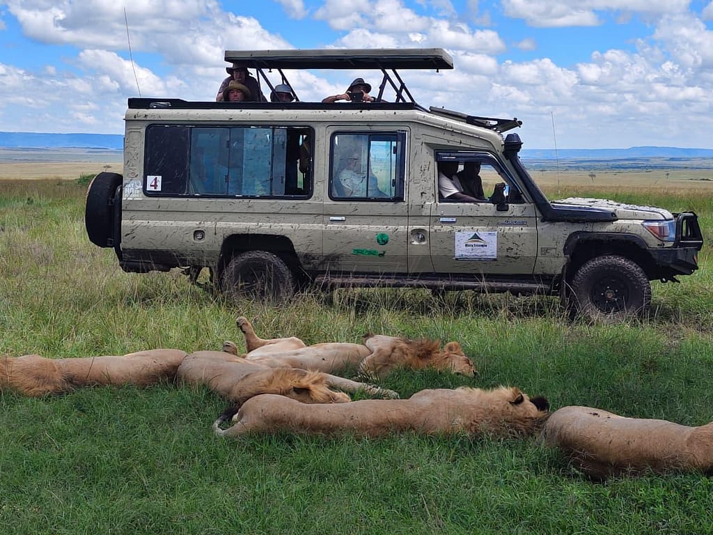 Kenya Safari in March: Good or Bad? Real Answers for 2026