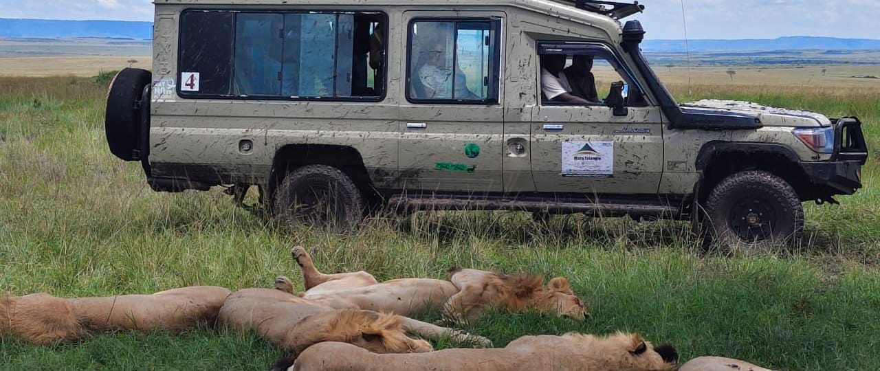 Kenya Safari in March: Good or Bad? Real Answers for 2026