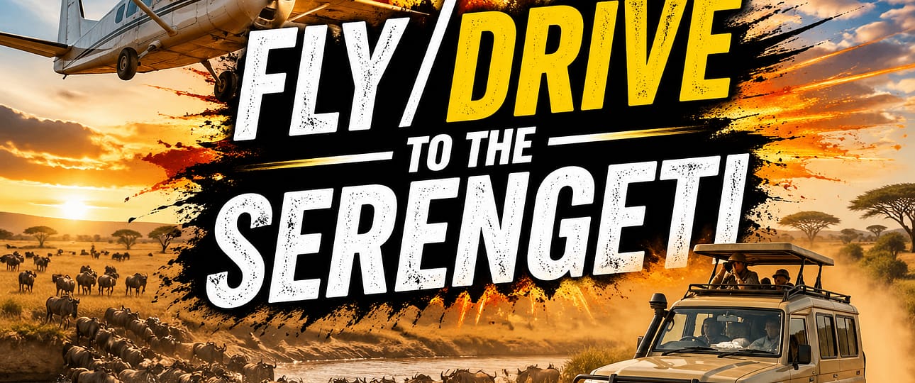 How to Get to Serengeti National Park (2026) Flights, Drives & Best Routes-Mara Triangle Safaris