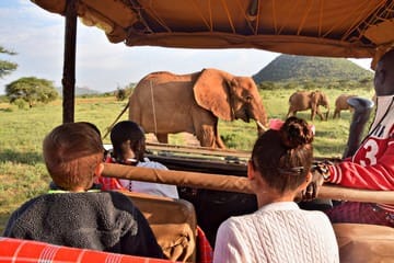 safari with kids