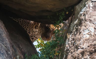 Top 10 Hidden Gems in Kenya for Safari Enthusiasts in 2026