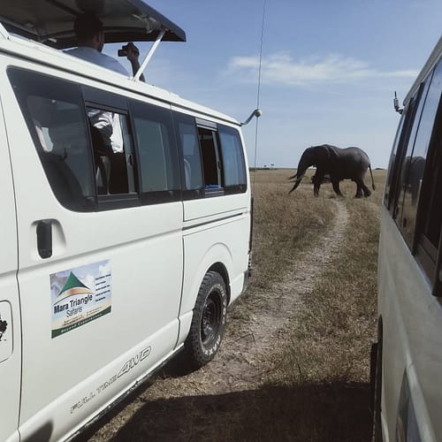 WhatsApp Image 2023-02-21 at 2.15.40 PM(1)