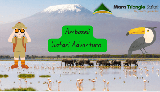 Amboseli Safari Adventure