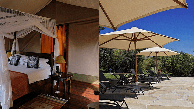 ashnil-mara-camp with mara triangle safaris5