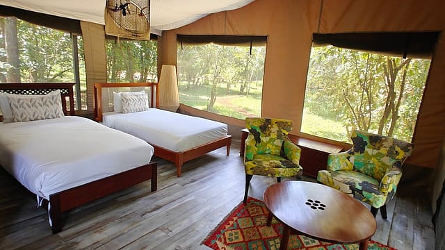 olive bush camp 2