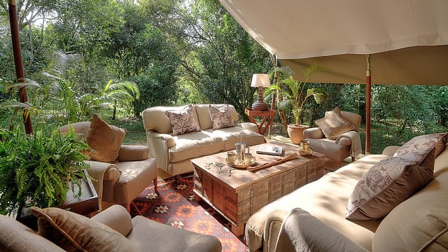 olive bush camp 3