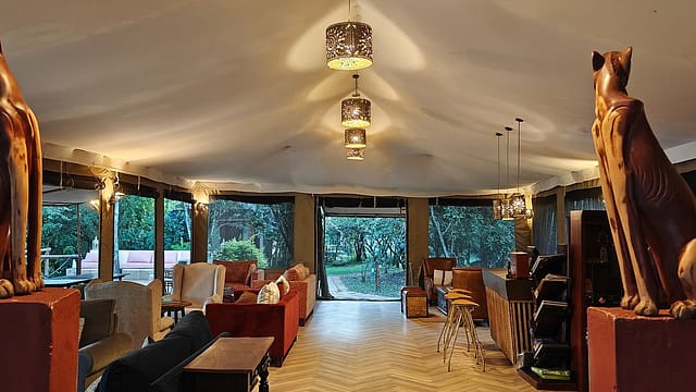 olive bush camp 4