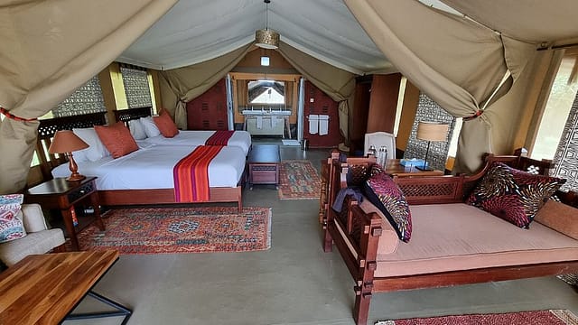 olive bush camp1