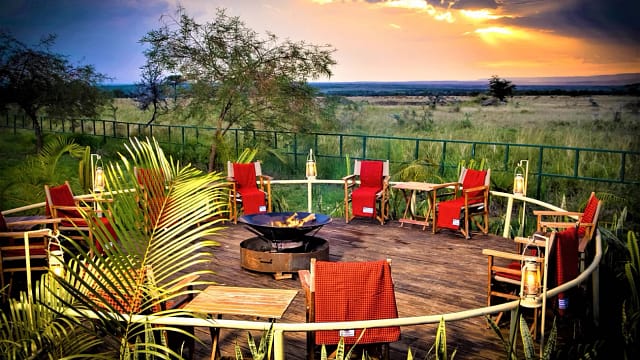 zebra plains with mara triangle safaris 2