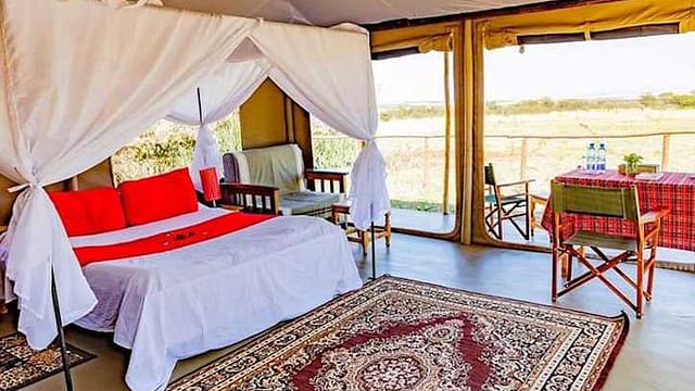 zebra plains with mara triangle safaris