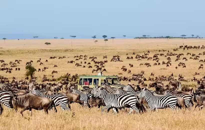 7 Days Kenya and Tanzania Safari