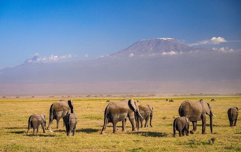 8 Days Kenyan Classic Tsavo, Amboseli and Mara