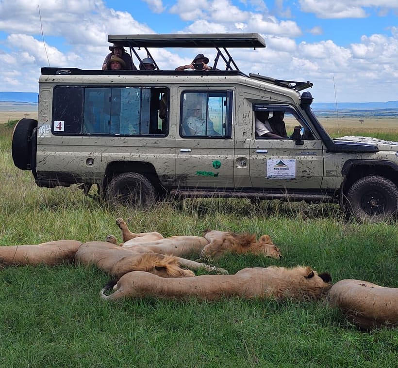 Kenya Safari in March: Good or Bad? Real Answers for 2026