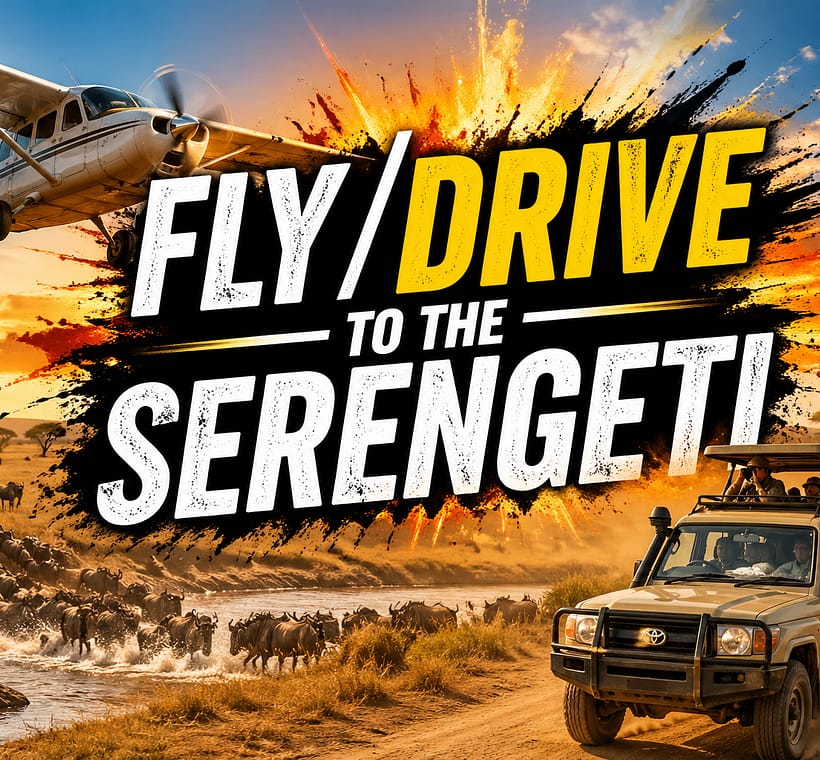 How to Get to Serengeti National Park (2026) Flights, Drives & Best Routes-Mara Triangle Safaris