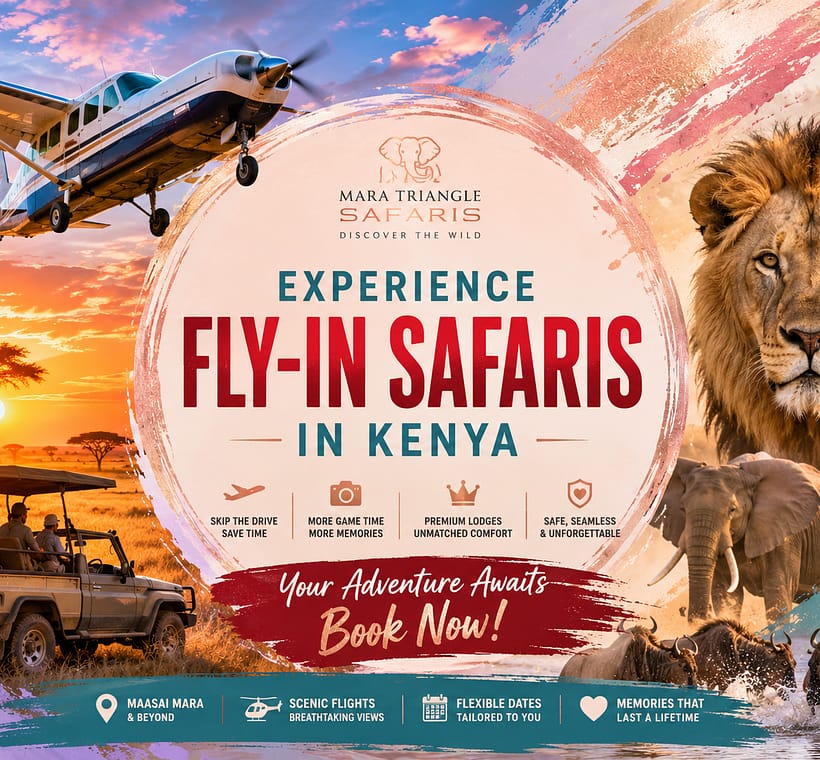Fly-In Safaris in Kenya Are They Worth the Cost in 2026- Mara Triangle Safaris