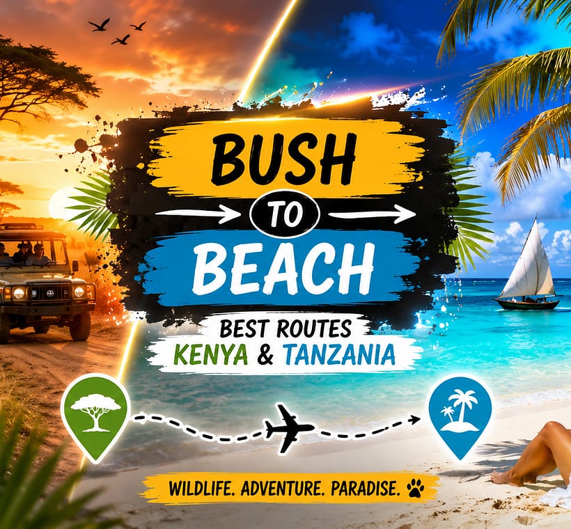 Kenya & Tanzania Bush to Beach Safari Routes (2026) Best Travel Combinations- Mara Triangle Safaris