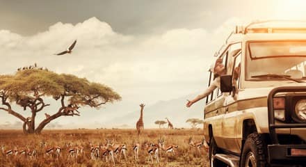 Kenya Safaris in December