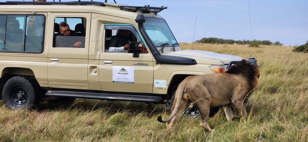 Top 20 Luxury Safari Lodges in Kenya and Tanzania for 2026