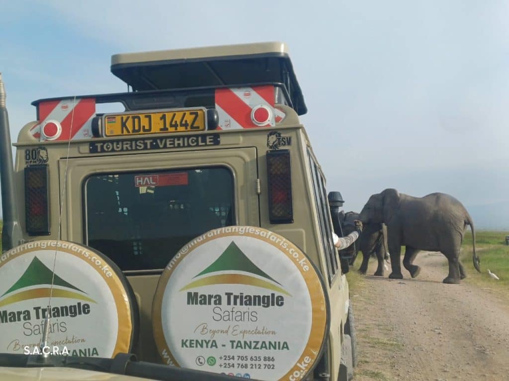 Top 10 Reasons to Visit Masai Mara in January to March