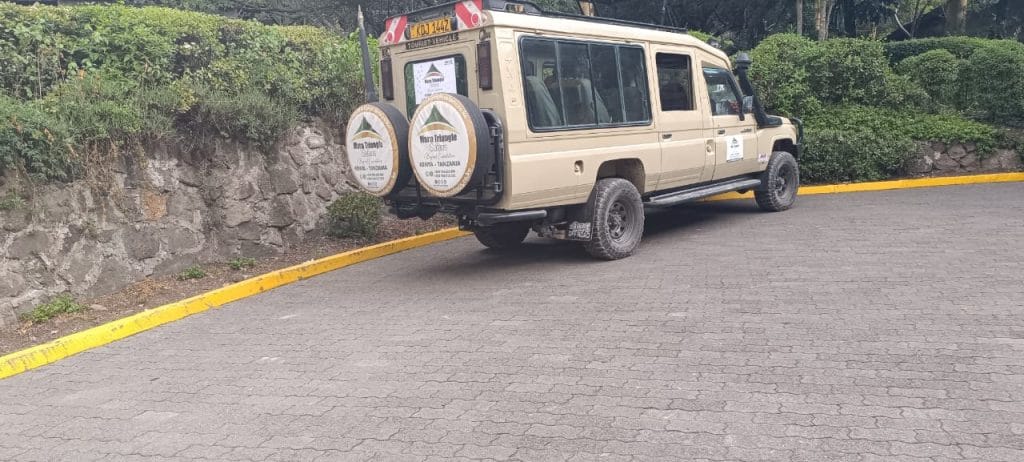 Top 20 Luxury Safari Lodges in Kenya and Tanzania for 2026