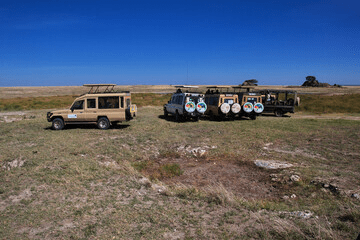 Kenya Safari in January