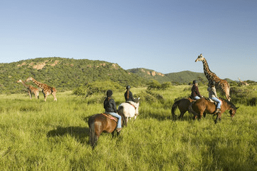 Sanctuary Horseback Safaris